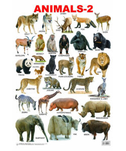 Chart – Animals 2 | M.D. Gunasena